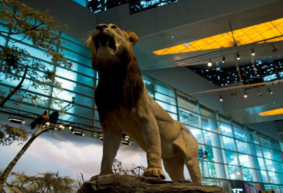 財(cái)經(jīng)365視界-金融讓利與上證指數(shù)改規(guī)則! 財(cái)經(jīng)365視界-金融讓利與上證指數(shù)改規(guī)則!