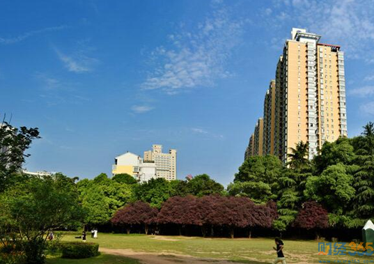 2020常德上市公司有哪些-常德上市公司名單