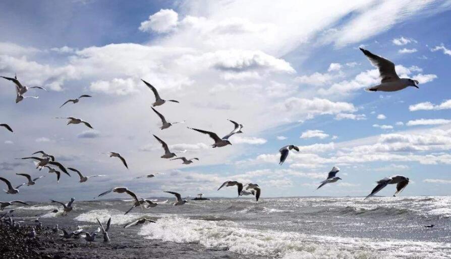 農村電商概念股有哪些-農村電商概