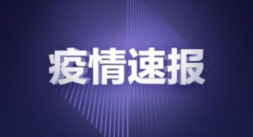 31省區市新增確診105例 疫情概念股