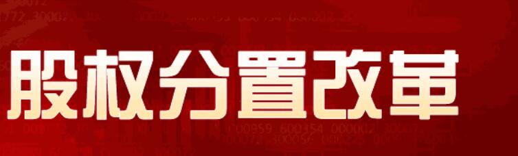 股權分置改革時間表-股權分置改革