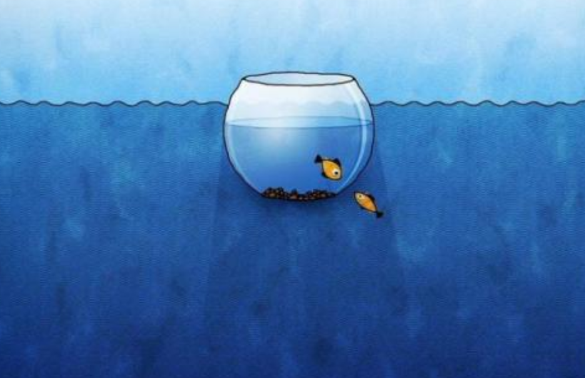 今日股票市場：先涇渭分明再如魚得水！