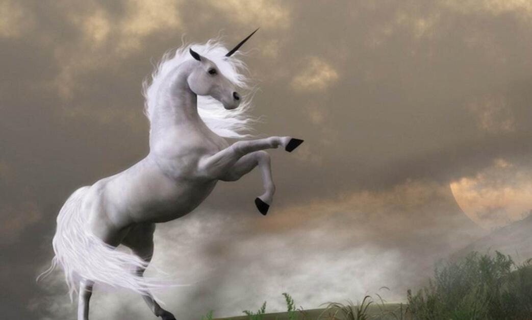 股票注冊制是什么意思-股票注冊制