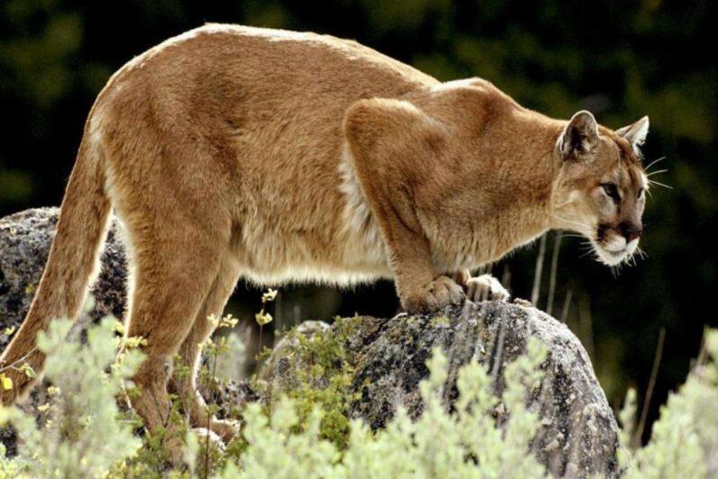 12月2日熱點聚焦分析及個股公告掘金 12月2日熱點聚焦分析及個股公告掘金