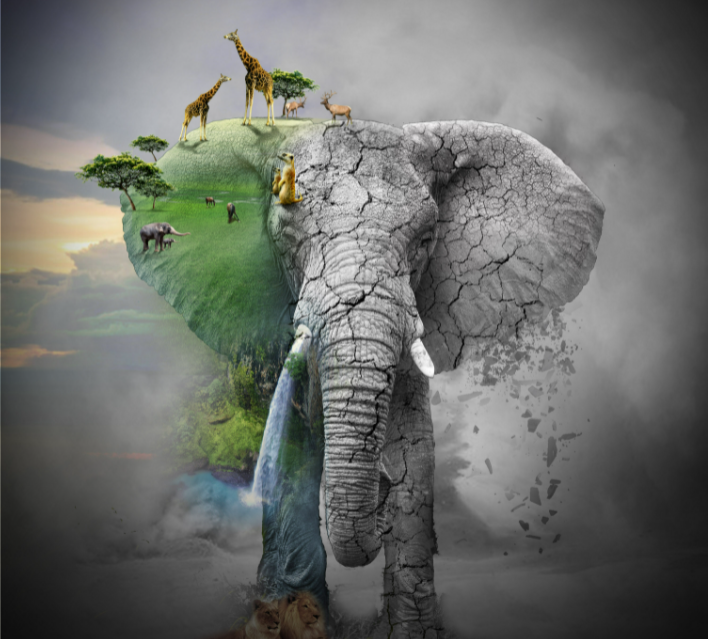 中國股票市場醫美產業鏈相關個股分析