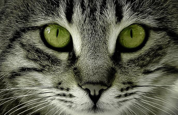 鋰電池被“看穿”