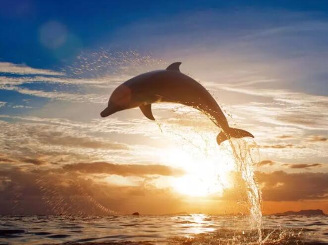 2022全面實(shí)行注冊(cè)制對(duì)股市影響幾何？