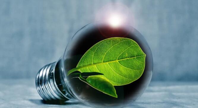 百億基金業績分化 新能源能走多遠？