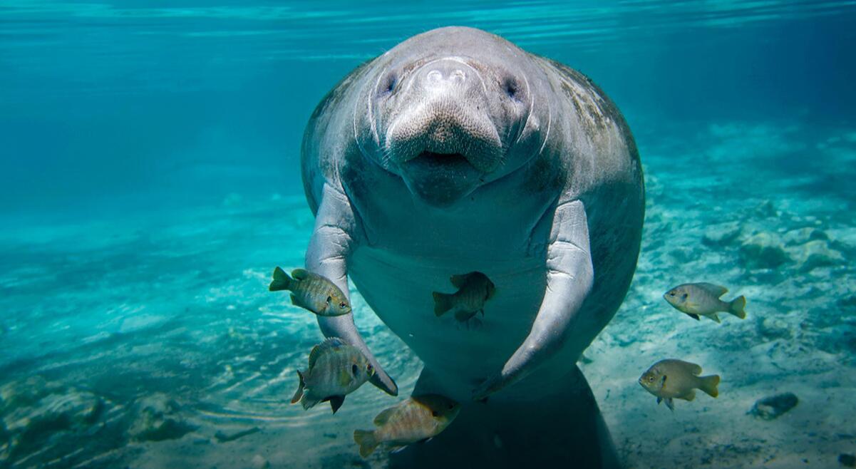 易綱：房地產(chǎn)市場預(yù)期正逐步改善