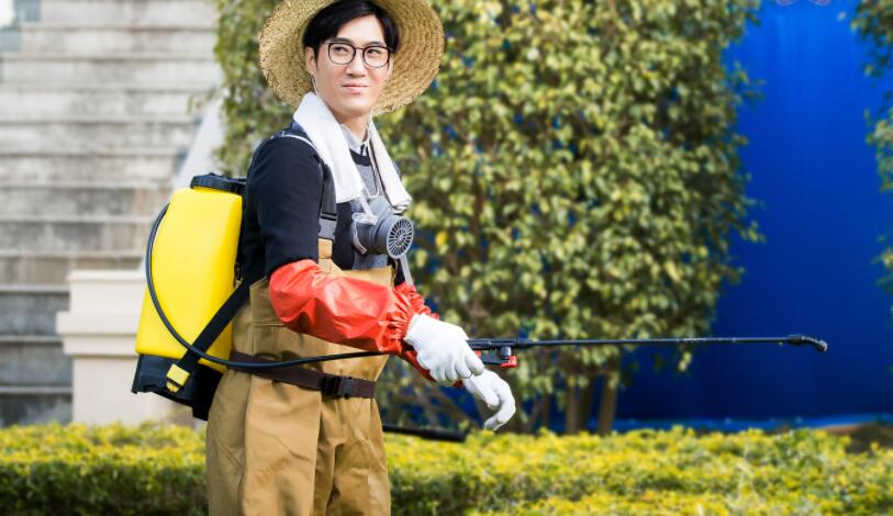 <b>好岳父代為還錢五千萬！背后有何玄機？</b>