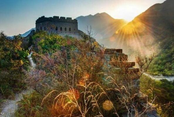 兩會今日看點:王毅答記者問