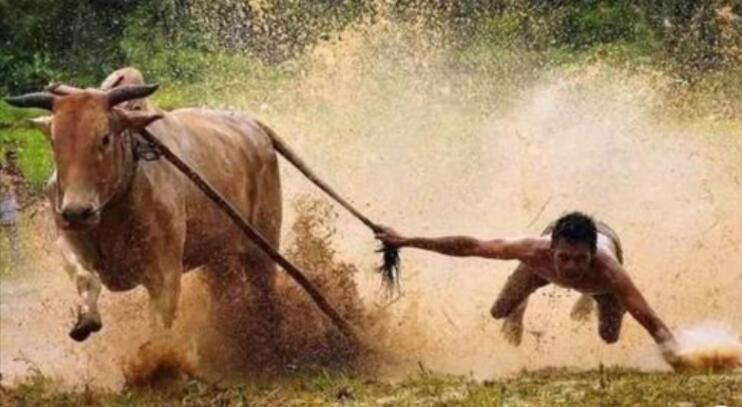 股票行情|全國人代會舉行第二次全體會議