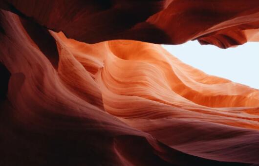 新冠檢測股大幅走高  新冠檢測概念股及龍頭有哪些