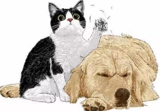 <b>股票行情|東方甄選還能火多久</b>