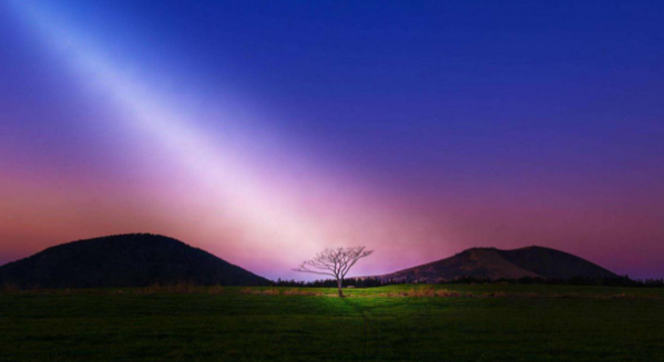 國常會定調：放寬購車資格，延續免征新能源汽