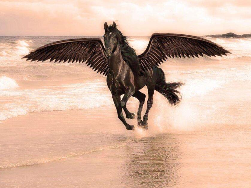 對(duì)當(dāng)下經(jīng)濟(jì)如何看?央行調(diào)查報(bào)告來了