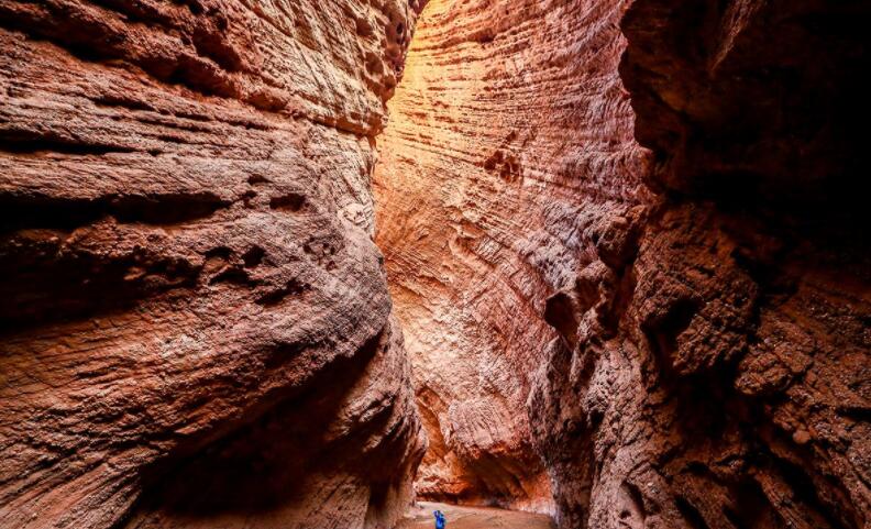 美聯(lián)儲預(yù)測加息,美股收跌