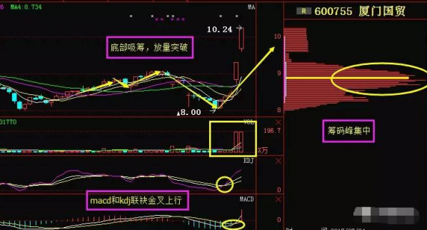 福建自貿概念股活躍　廈門國貿走勢