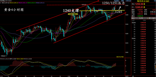 黃金走勢分析：黃金回調1246多，原油反彈49.5空