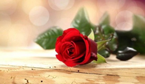 12.20外匯黃金單邊下跌17點(diǎn)你賺錢了嗎？日內(nèi)黃金能否看多？