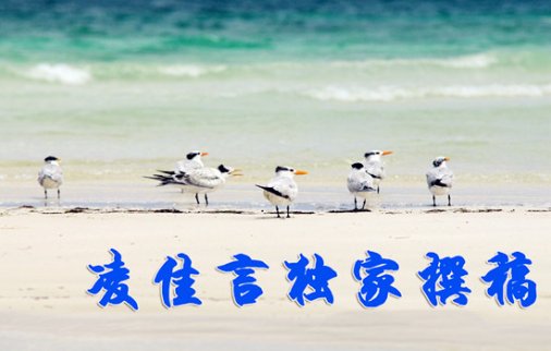 12.21黃金探高會否有回調可能?單邊上漲你離爆倉有多遠?