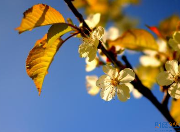 一季度經(jīng)濟數(shù)據(jù)