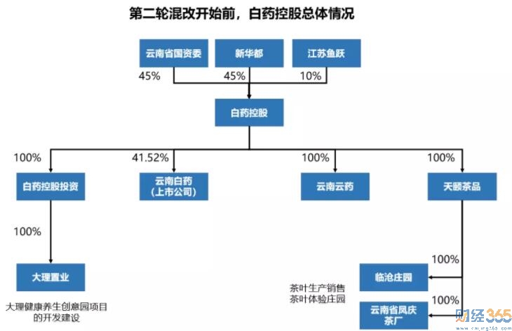 個股分析 白藥 個股分析 白藥