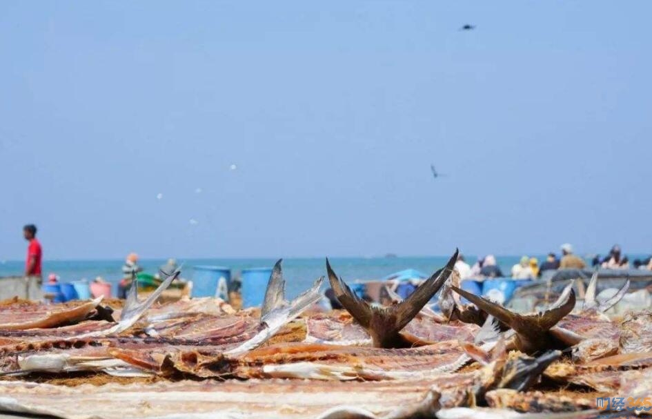 水產品概念股有哪些 水產品概念股票一覽表