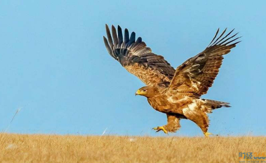 加密貨幣圈變天？黃金重返1830關口！
