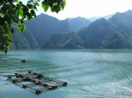 財經365零基礎學理財-目標日期基金咋投資