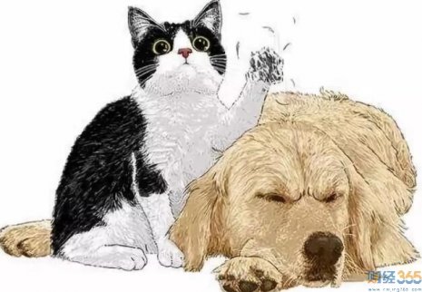 財經365獨家-股票熱點及個股掘金(7.21) 財經365獨家-股票熱點及個股掘金(7.21)