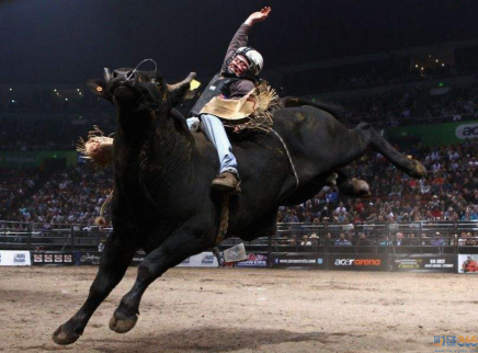 王思聰“想你的牙”，賺了2500萬